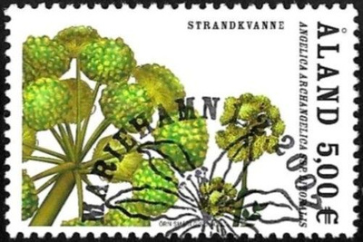 Åland 2007 Rantakukkia 5,00 € EP alareuna LOISTO LaPe 275