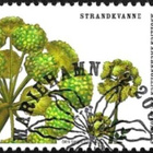 Åland 2007 Rantakukkia 5,00 € EP alareuna LOISTO LaPe 275 - pikkukuva 1
