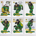 2021-22 Cardset Series 1 Ilves Team Set 12 korttia (25-36) - pikkukuva 1