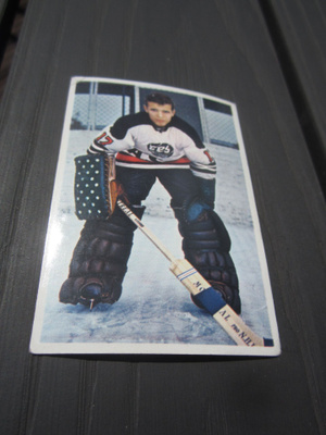 JORMA "VALTSU" VALTONEN - ROOKIE KORTTI 1965-1966