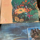 Norman Connors Aquarian Dream ja Fantasy LP - pikkukuva 2