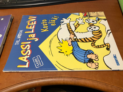 LASSI JA LEEVI KOSTO ELÄÄ HYVÄ