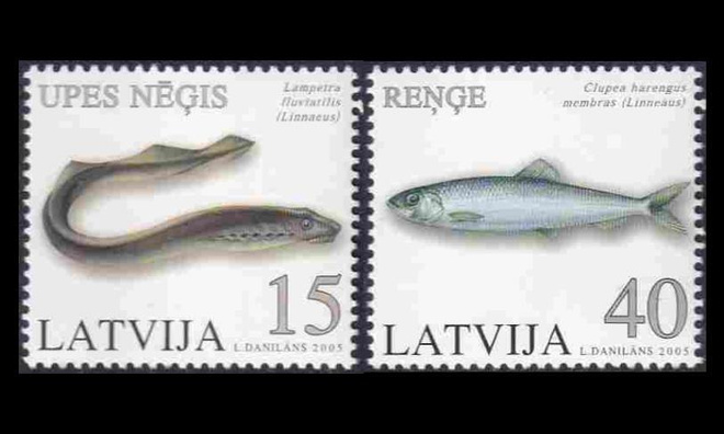 Latvia 639-40 ** Kaloja (2005)
