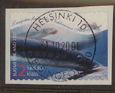 2001  2.lk nahkiainen loist