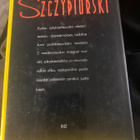 Andrzej Szczypiorski: Alku - pikkukuva 2
