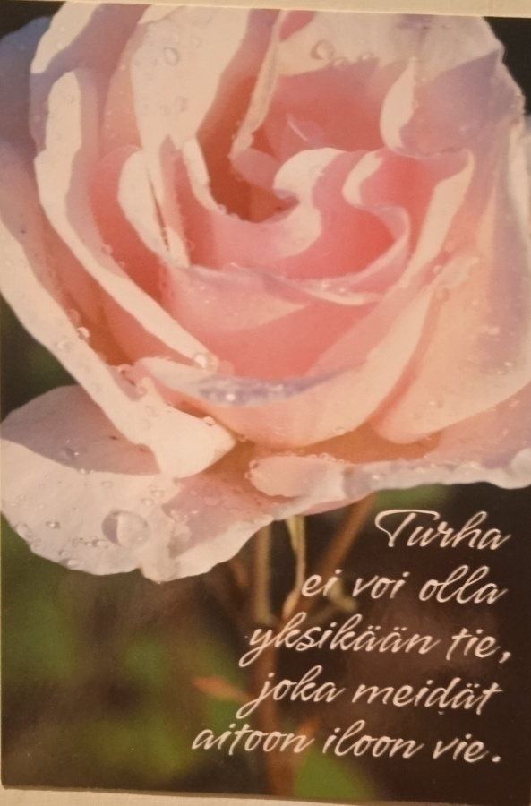 no 107  - turha ei voi olla yksikään tie, joka meidät aitoon