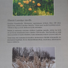 Metsäpirtin Saaroinen, Elämää Laatokan äärellä - pikkukuva 2
