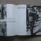 Der zweite Weltkrieg begann auf Westerplatte - pikkukuva 4
