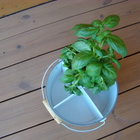 Yrtti ruukku - pikkukuva 2