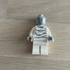 LEGO - Super Heroes -SH0812: Gorr - pikkukuva 1