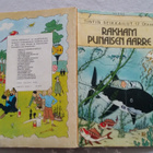 Tintin seikkailut 17: Rakham punaisen aarre 1.p. - pikkukuva 2