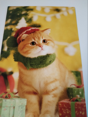 Kissa joulu kortti, kulkematon.