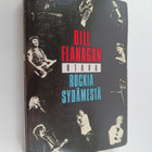 Bill Flanagan : Rockia sydämestä - pikkukuva 1