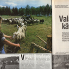 Pellervo n:o 16 1986 Punkaharju. Pirttikoski. Valamo. Kani. - pikkukuva 4