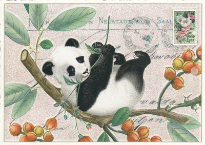 Panda (Tausendschön-kortti)