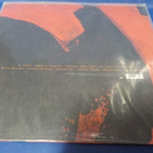 MUDHONEY - THE LUCKY ONES M-/M- LP - pikkukuva 2