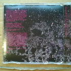 Appleton - Don´t Worry CDS - pikkukuva 2