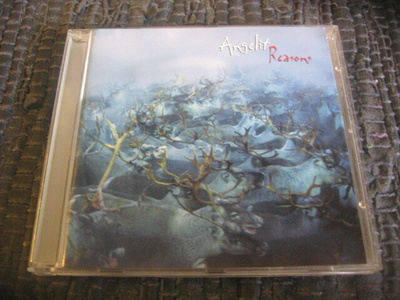 Angelit (Angelin Tytöt) - Reasons