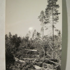 VANHA Postikortti Lappi 1950-l Alkup.Mallikappale - pikkukuva 1