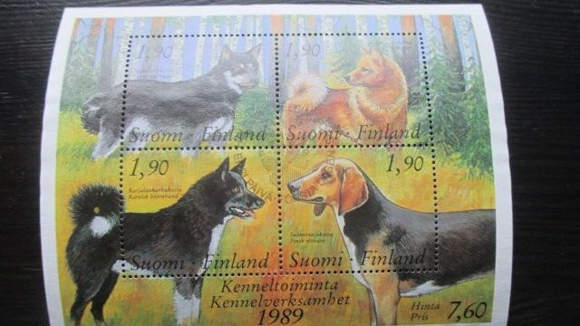 Kenneltoiminta 1989