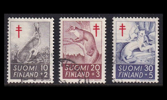 551-3 o Tuberkuloosi metsän eläimiä (1962)