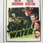 SWAMP WATER / SUURSUON SALAISUUSDVD - pikkukuva 1