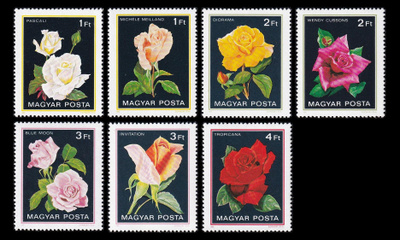 Unkari 3548-54 ** Ruusut (1982)