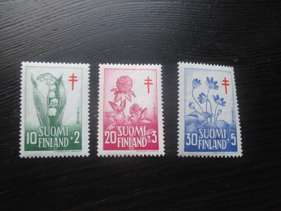 Tuberkuloosi 1958 **