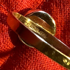 sormus korvanapit pinssi spetroliitti kivet kultakorut 14K - pikkukuva 4