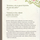 Cecelia Ahern, Valintojen vuosi - pikkukuva 2