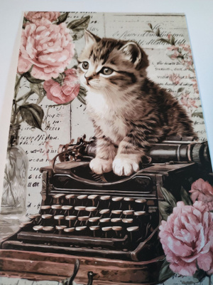 Kissa kortti,kulkematon.