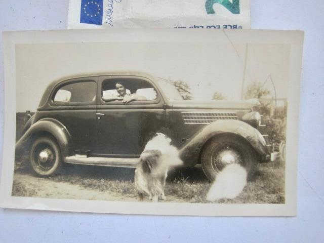 VANHA Valokuva KIVA Auto Koira 1930-l