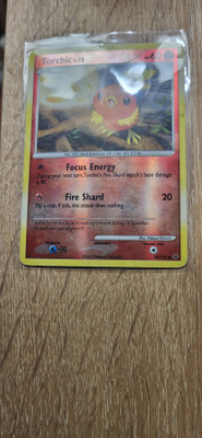 Torchic Lv.12 (PL 99) Platinum reverse holo card