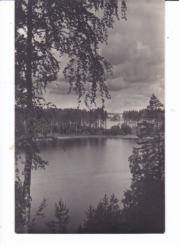 VANHA Postikortti Punkaharju 1930-l