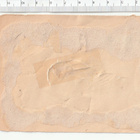 ~ varikset-nelkku, 12 x 8 cm ~ - pikkukuva 2