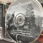 Sonata Arctica: The Last Amazing Grays. 2009. - pikkukuva 3