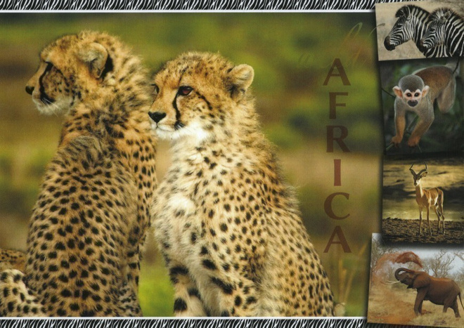 Wild Africa: 1 #3031