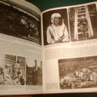 SUOMALAINEN PERINNEKUVASTO (1.p.1980) Sis.postikulut - pikkukuva 2