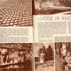 Kotiliesi n:o 9 1952 Tupa jossa on muotoa ja rytmiä. Marja l - pikkukuva 2