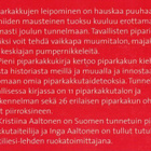 Inga Aaltonen: Pieni piparkakkukirja - pikkukuva 3