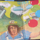 Beach Boys: Endless Summer 2LP + juliste - pikkukuva 3