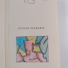 Antoine de Saint-Exupery : Siipien sankarit - pikkukuva 2