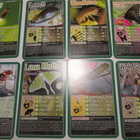 Top Trumps: Bugs (Ötökät) - pelattavat keräilykortit - pikkukuva 3