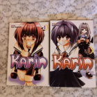 Karin 1 ja 2 - pikkukuva 1