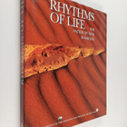 Rhythms of Life : The Factor of Time in Nature - pikkukuva 1