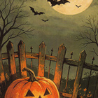 Halloween iso kurpitsa aidan vieressä - pikkukuva 1