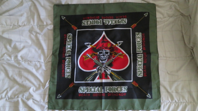 Special Forces - Death Before Dishonor -liina