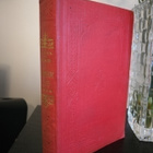 T. F. M. Richter: Resor i främmande land (1870-92) - pikkukuva 2