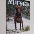 Nuusku 1/2019 - pikkukuva 1