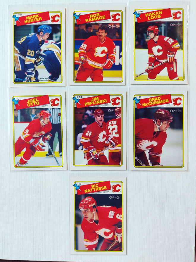 88-89 Opc - Calgary Flames 7kpl